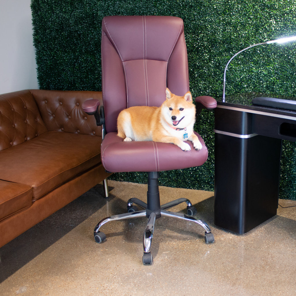 Avion Executive Office Chair